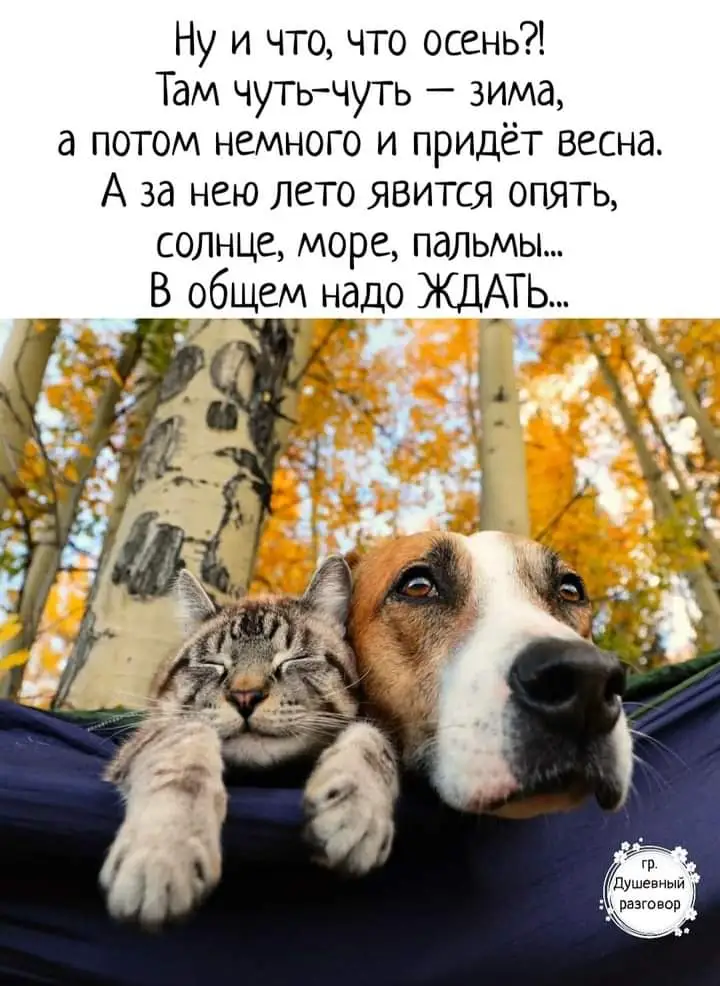 FB_IMG_1630470660993.webp