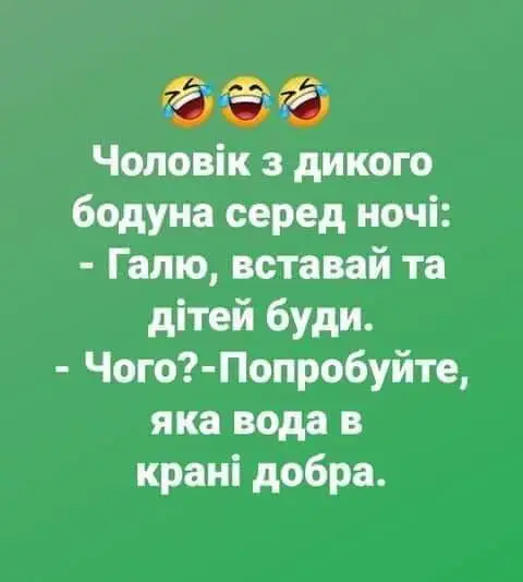 FB_IMG_1630570915115.webp