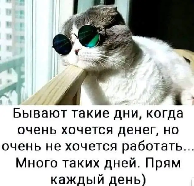 FB_IMG_1630612068269.webp