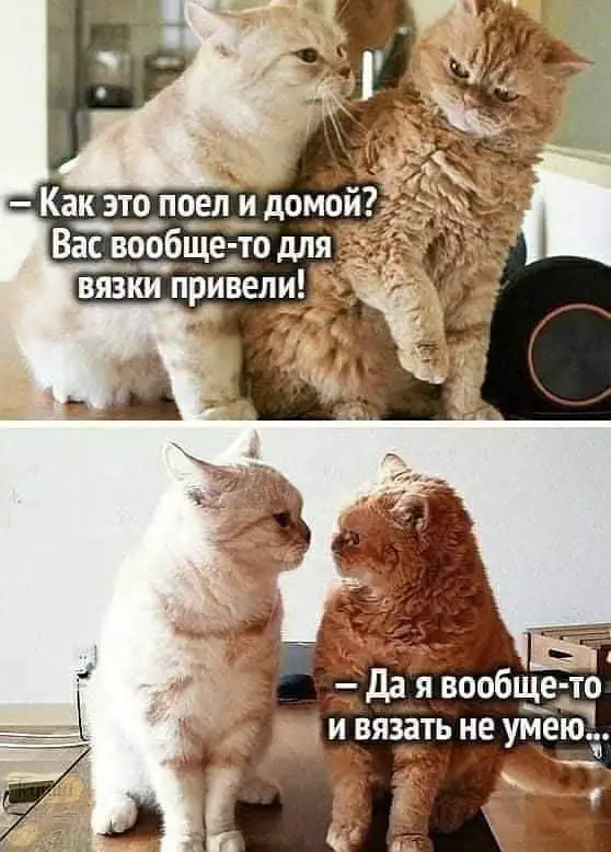 FB_IMG_1630746867201.webp