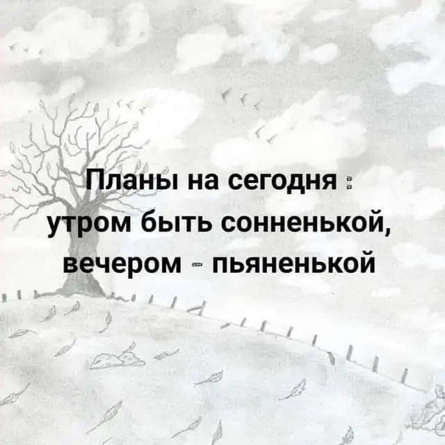 FB_IMG_1630758571915.webp