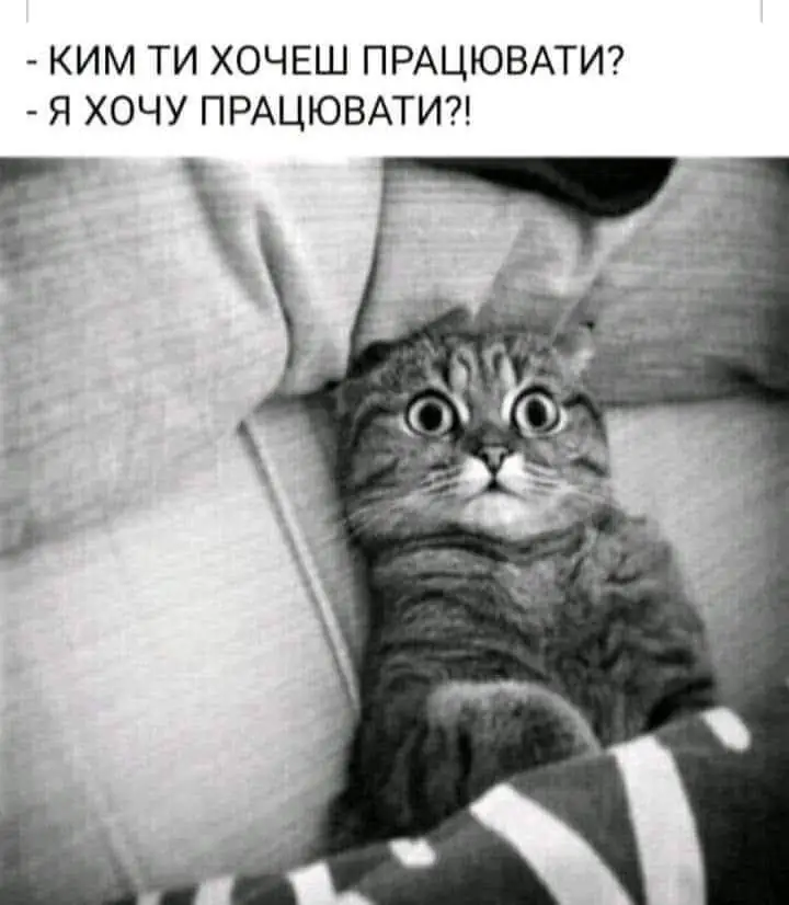 FB_IMG_1631051564447.webp