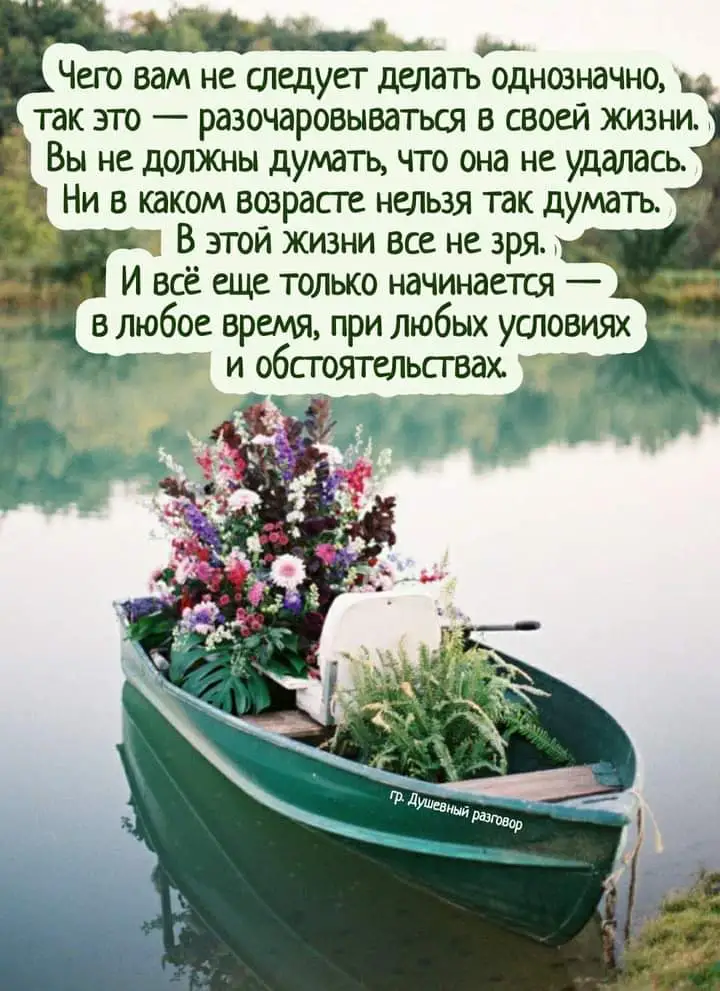 FB_IMG_1631423864333.webp