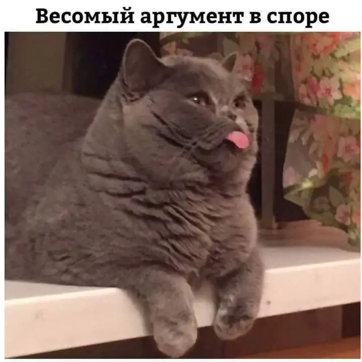 FB_IMG_1631443262294.webp