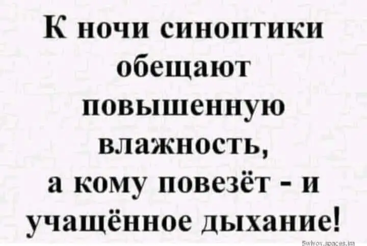 FB_IMG_1631463393183.webp
