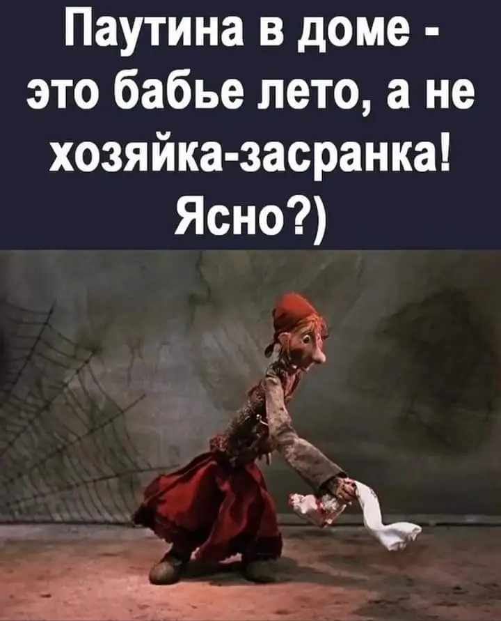 FB_IMG_1631553194517.webp