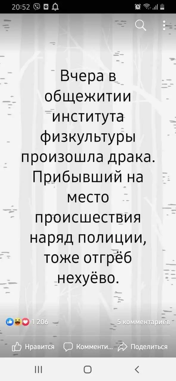 FB_IMG_1631618175294.webp