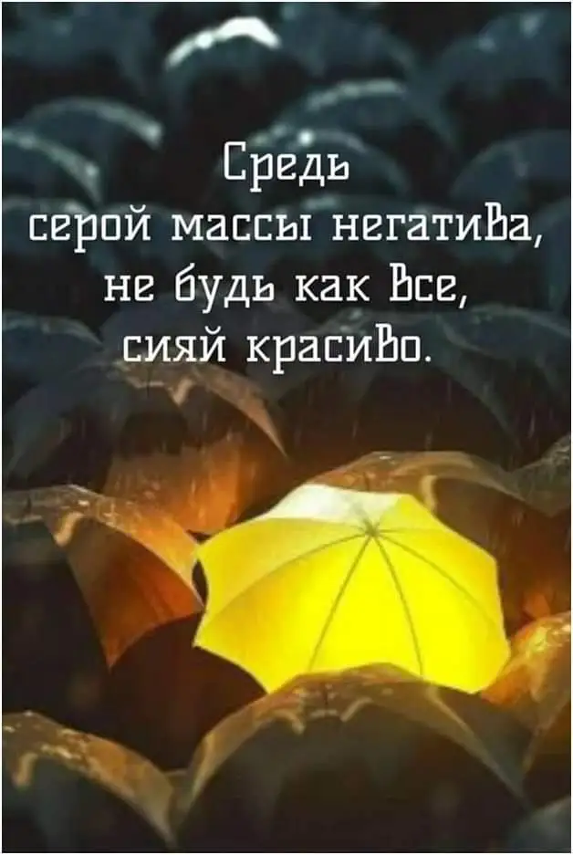 FB_IMG_1631690749044.webp