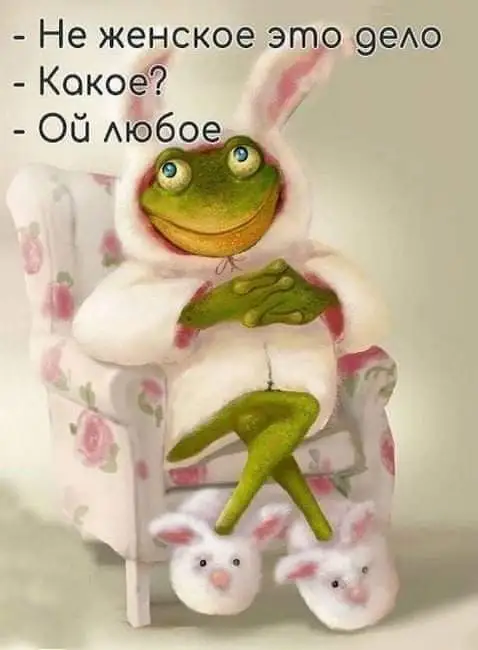 FB_IMG_1631722889271.webp