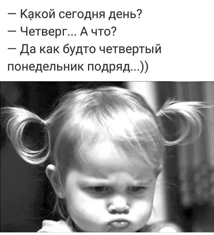 FB_IMG_1631799236754.webp