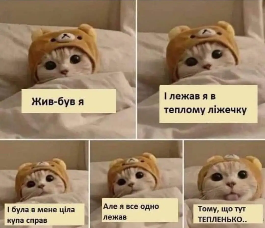 FB_IMG_1631998375721.webp