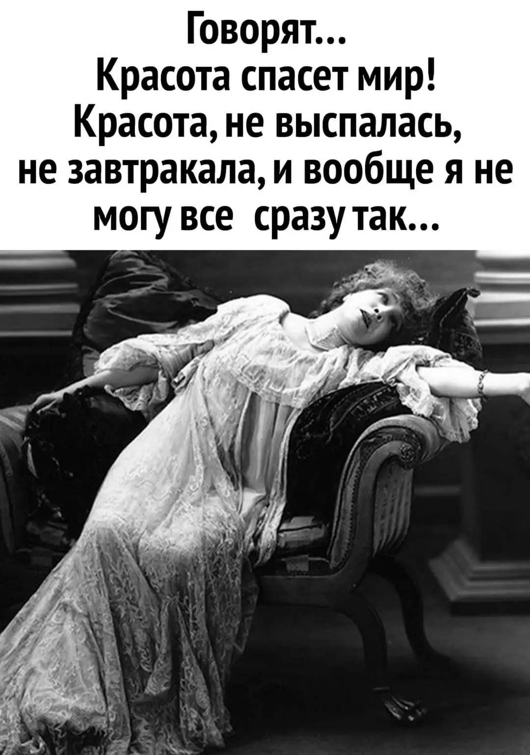FB_IMG_1632056063964.webp