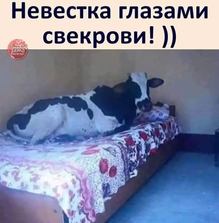 FB_IMG_1632070411097.webp