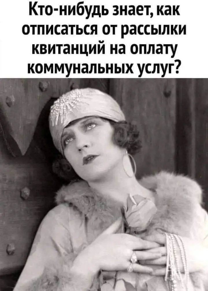 FB_IMG_1632159437901.webp
