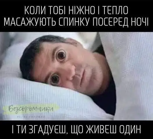 FB_IMG_1632171976156.webp