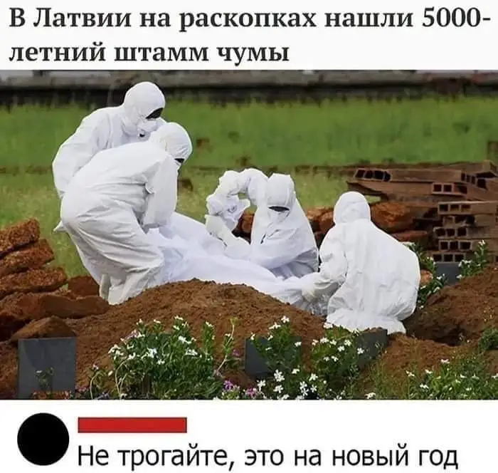 FB_IMG_1632198930209.webp