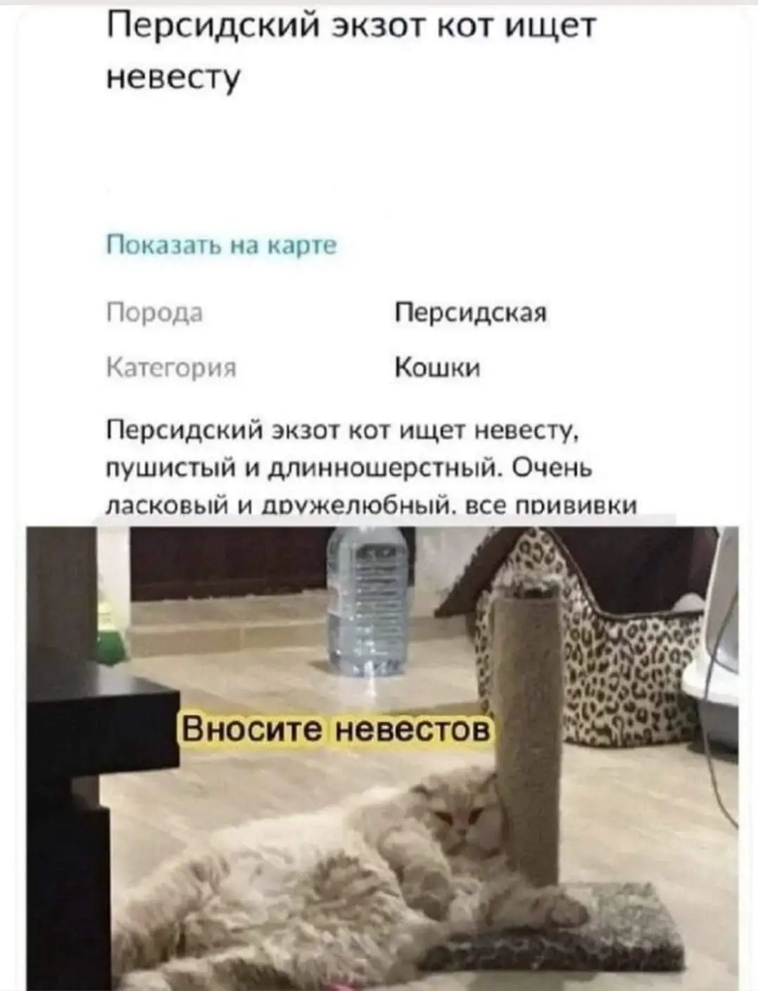 FB_IMG_1632210543965.webp