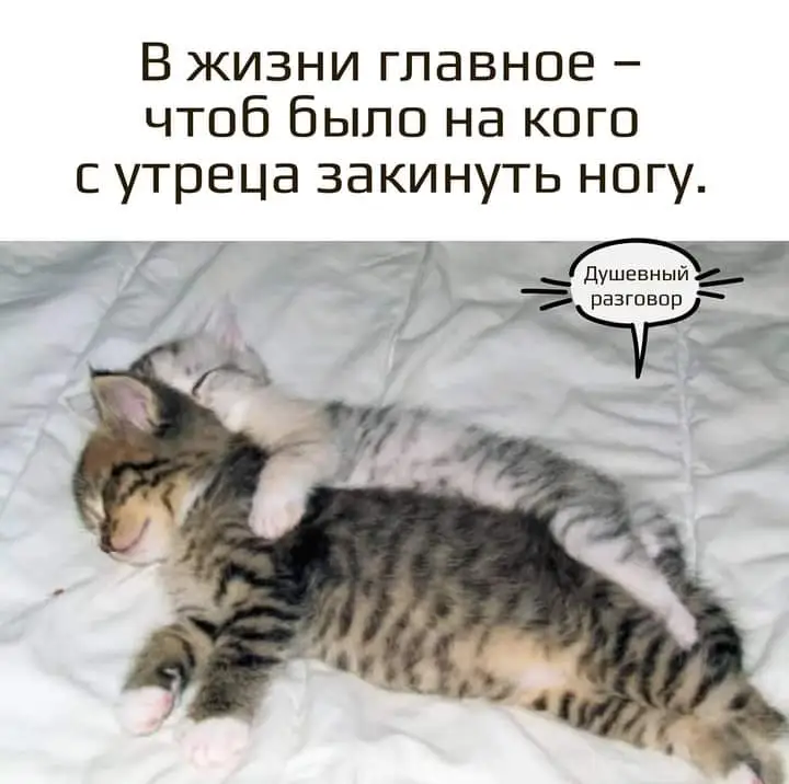 FB_IMG_1632214182714.webp