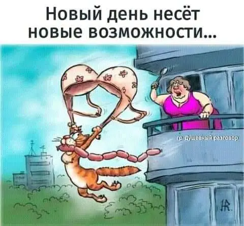 FB_IMG_1632228160380.webp