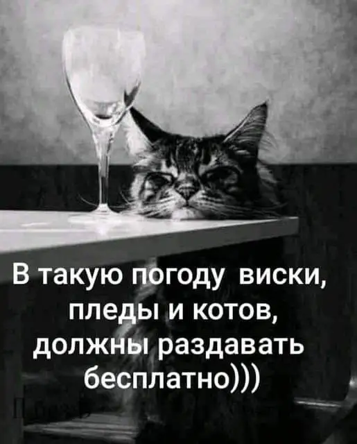 FB_IMG_1632245138656.webp