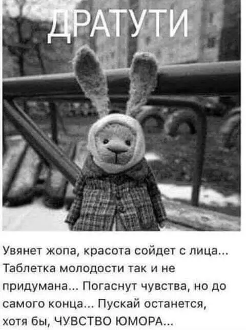 FB_IMG_1632312795858.webp