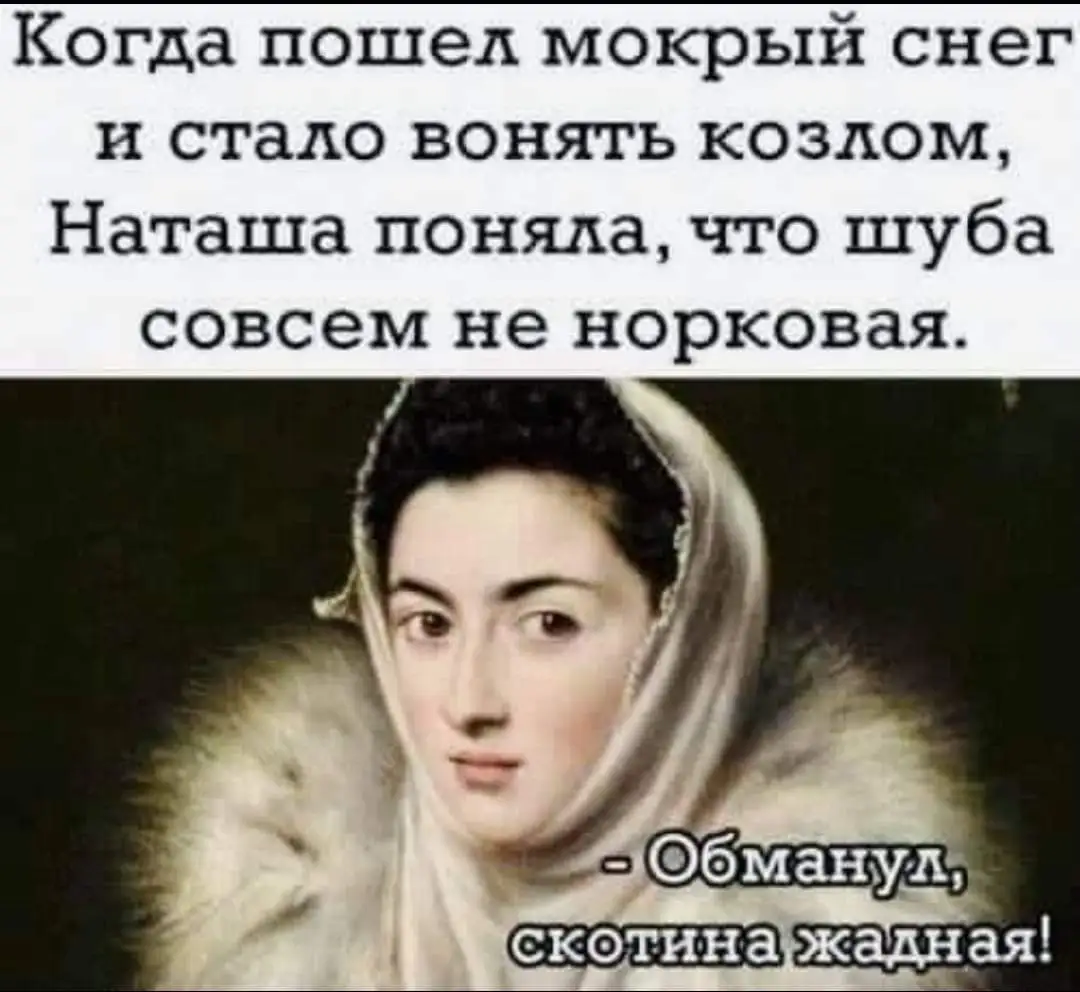 FB_IMG_1632315946899.webp