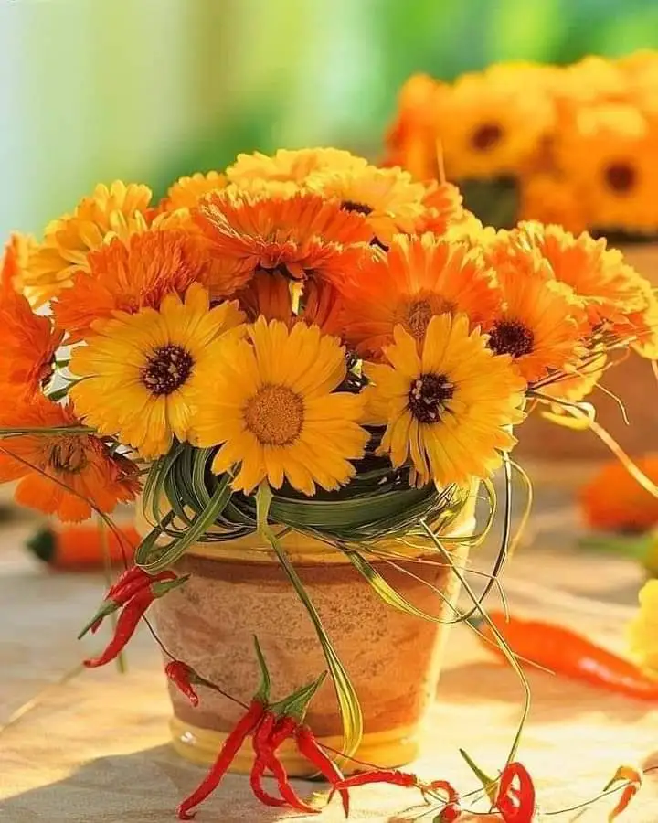 FB_IMG_1632364295760.webp