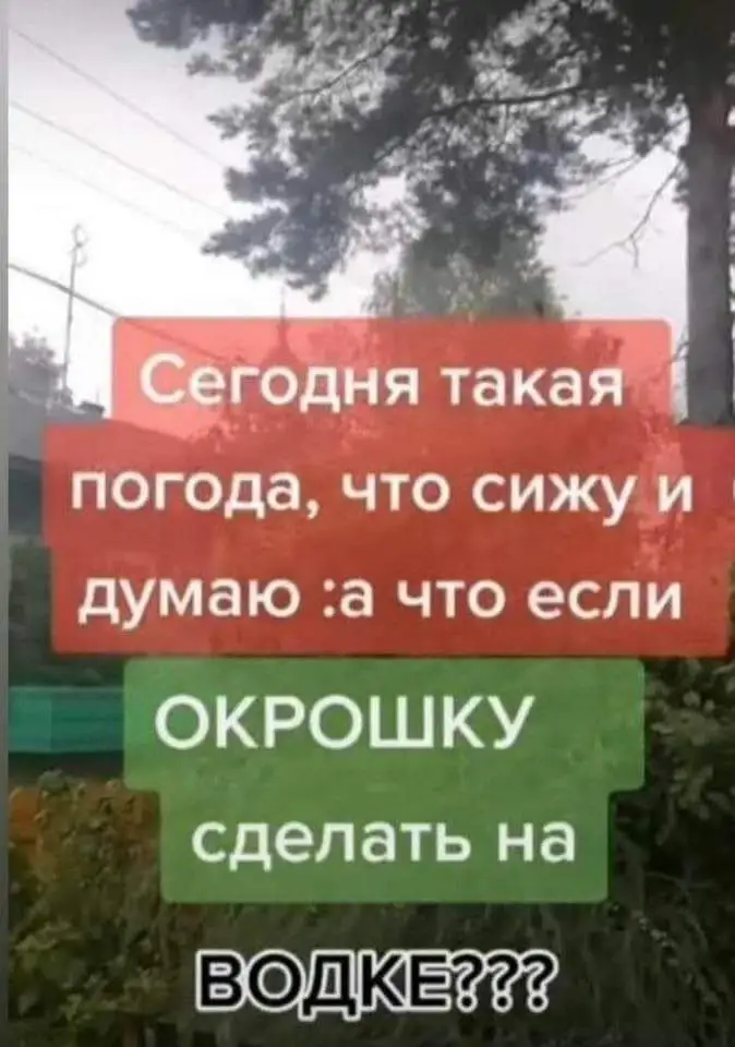 FB_IMG_1632398532604.webp