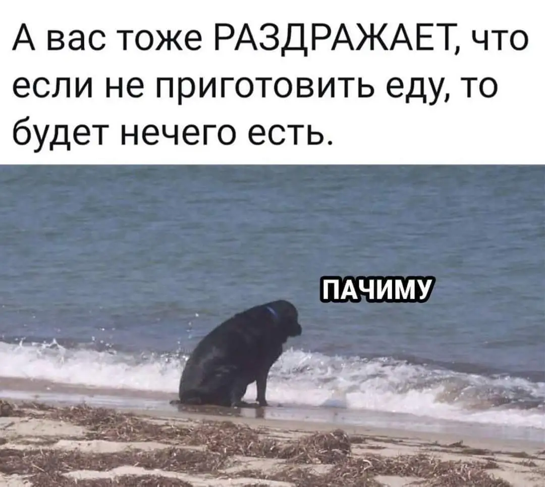 FB_IMG_1632400510606.webp