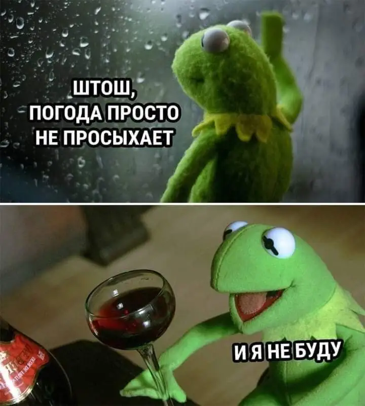 FB_IMG_1632412922367.webp