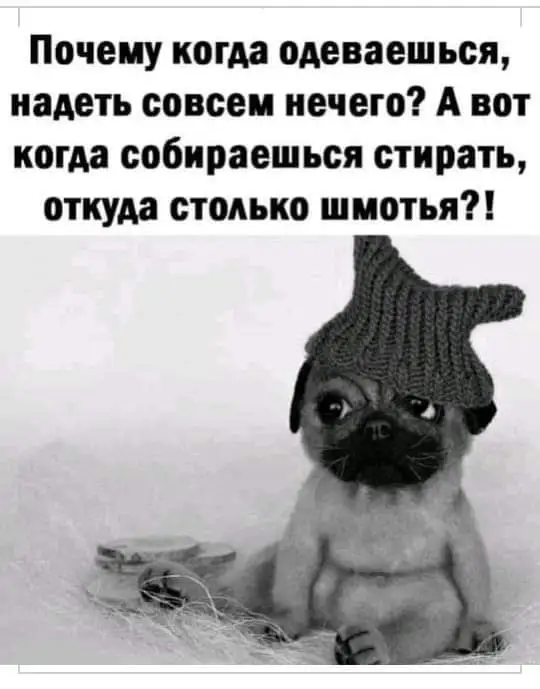 FB_IMG_1632418712491.webp