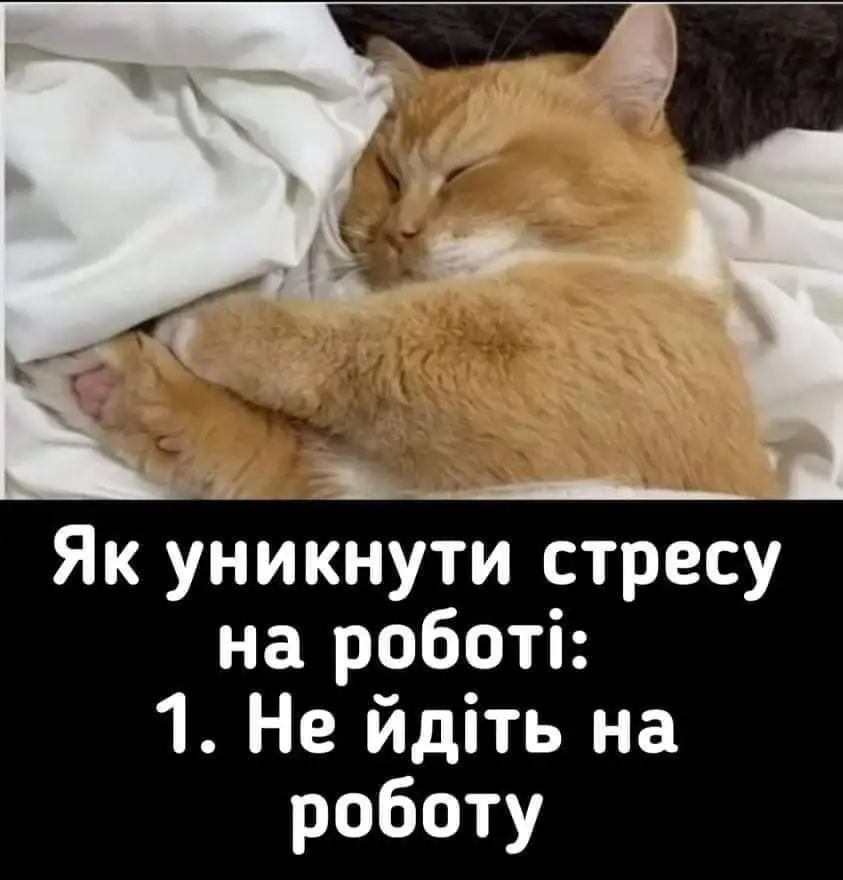 FB_IMG_1632420456268.webp