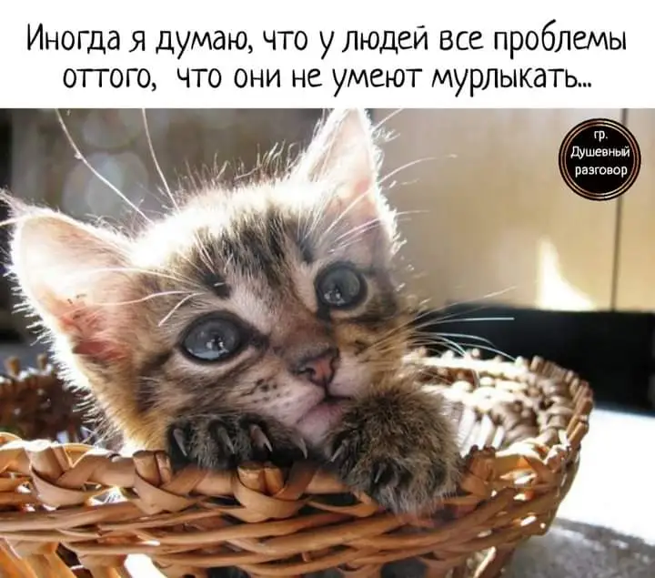 FB_IMG_1632426098875.webp