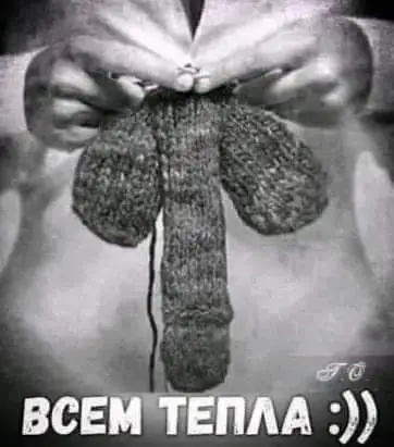 FB_IMG_1632553876757.webp
