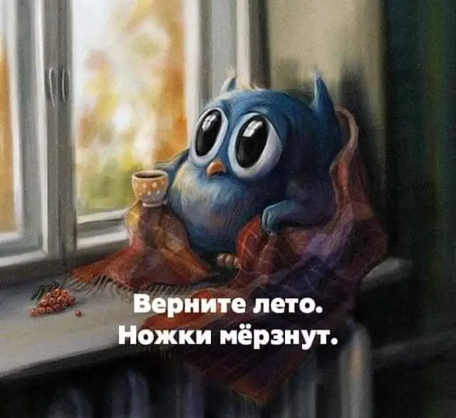 FB_IMG_1632588076213.webp