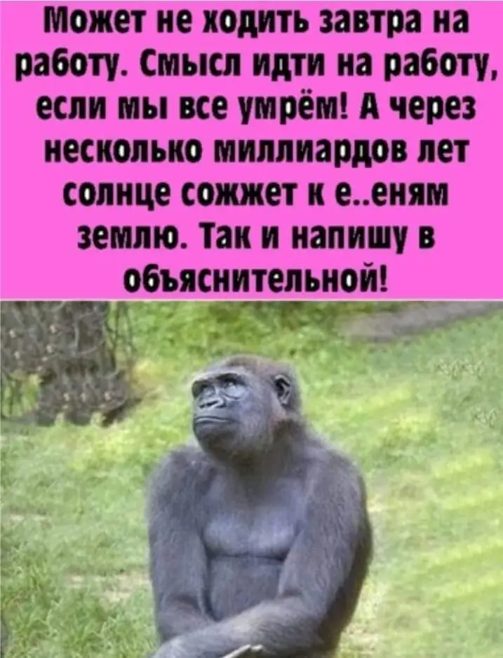 FB_IMG_1632750973951.webp