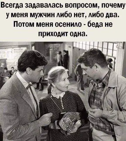 FB_IMG_1632826601265.webp