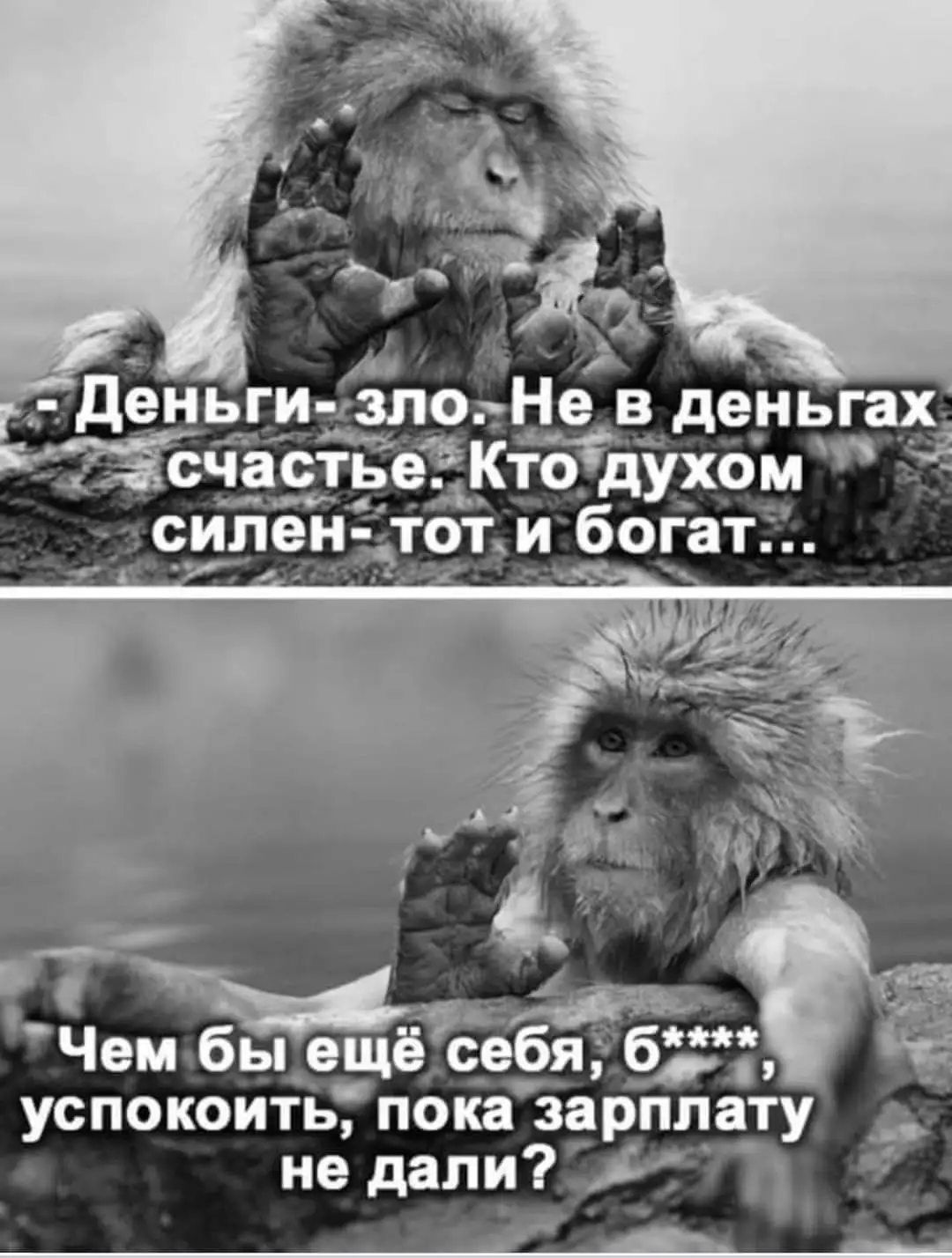 FB_IMG_1632920976426.webp