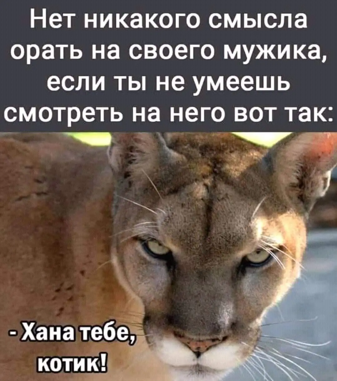 FB_IMG_1632921011065.webp