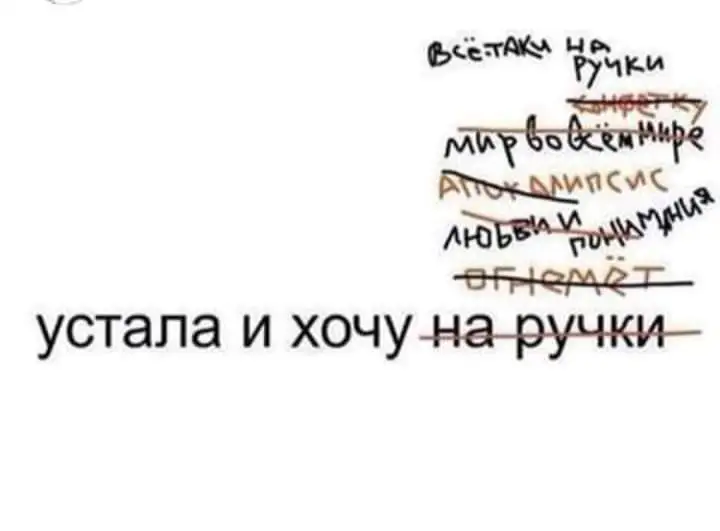 FB_IMG_1633029844852.webp