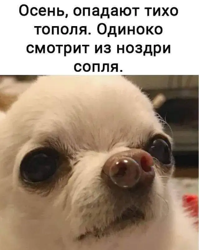 FB_IMG_1633095963395.webp