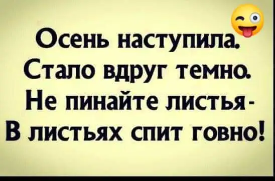FB_IMG_1633287842179.webp