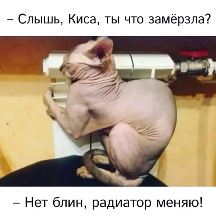 FB_IMG_1633330960526.webp