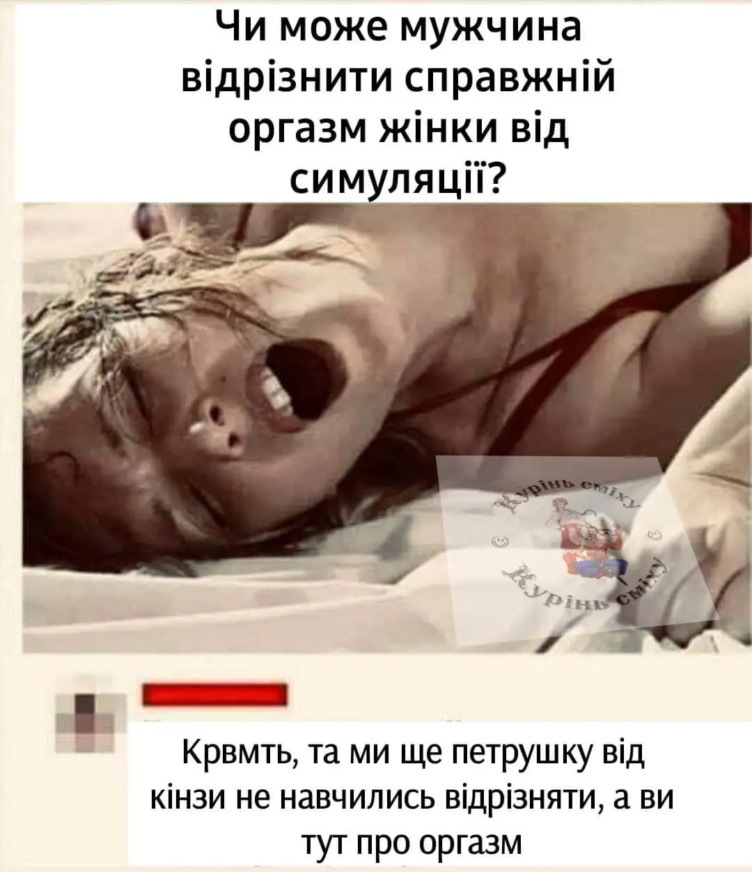 FB_IMG_1633419384928.webp