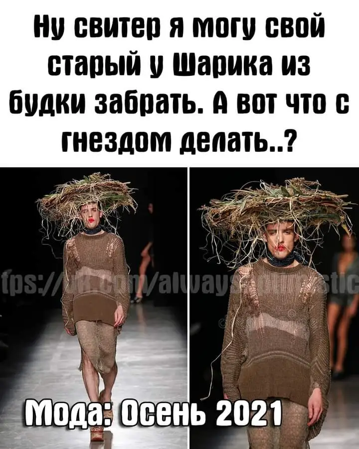 FB_IMG_1633587947614.webp
