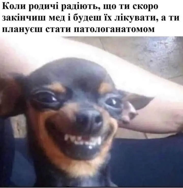 FB_IMG_1633598914905.webp