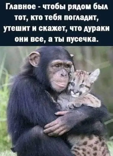 FB_IMG_1633611034546.webp
