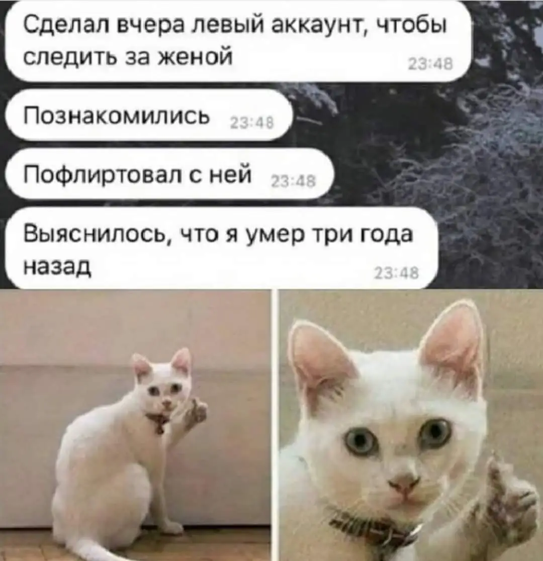 FB_IMG_1633614404034.jpg