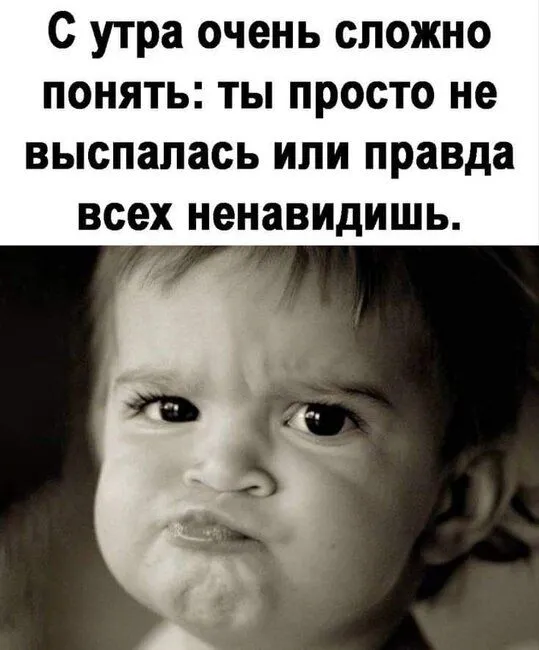 FB_IMG_1633625168275.webp