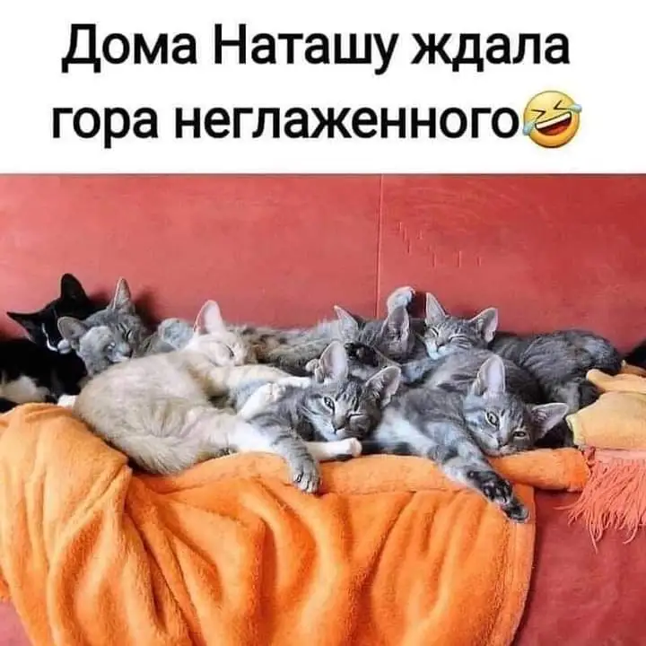FB_IMG_1633630855114.webp